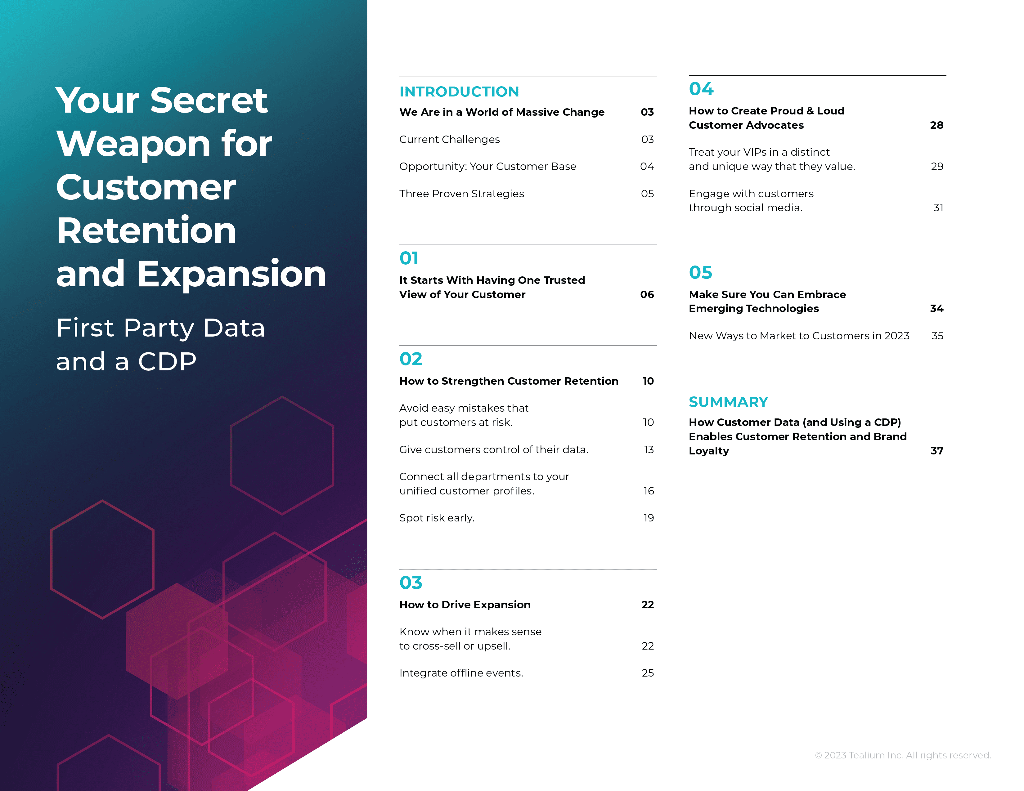 Your Secret Weapon for Customer Retention & Expansion