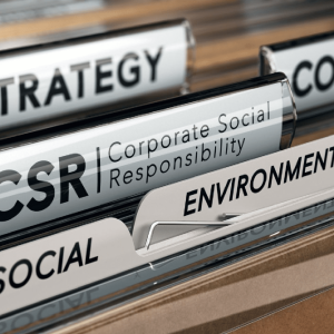A Practical Guide to Effective CSR for Leaders